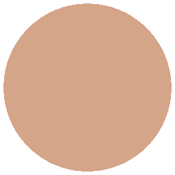 Explore career opportunities at Rely Media